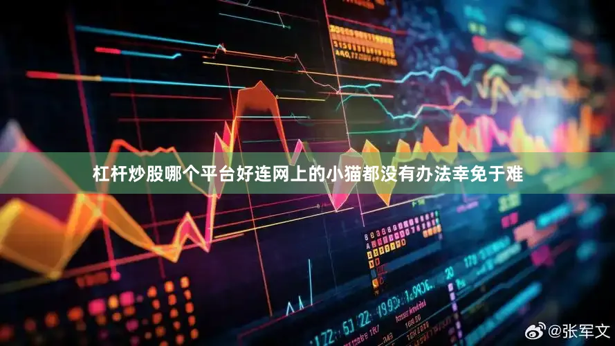 杠杆炒股哪个平台好连网上的小猫都没有办法幸免于难